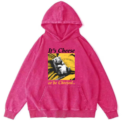 The Sleeping Little Bear Vintage Distressed Hoodie-Zazasy