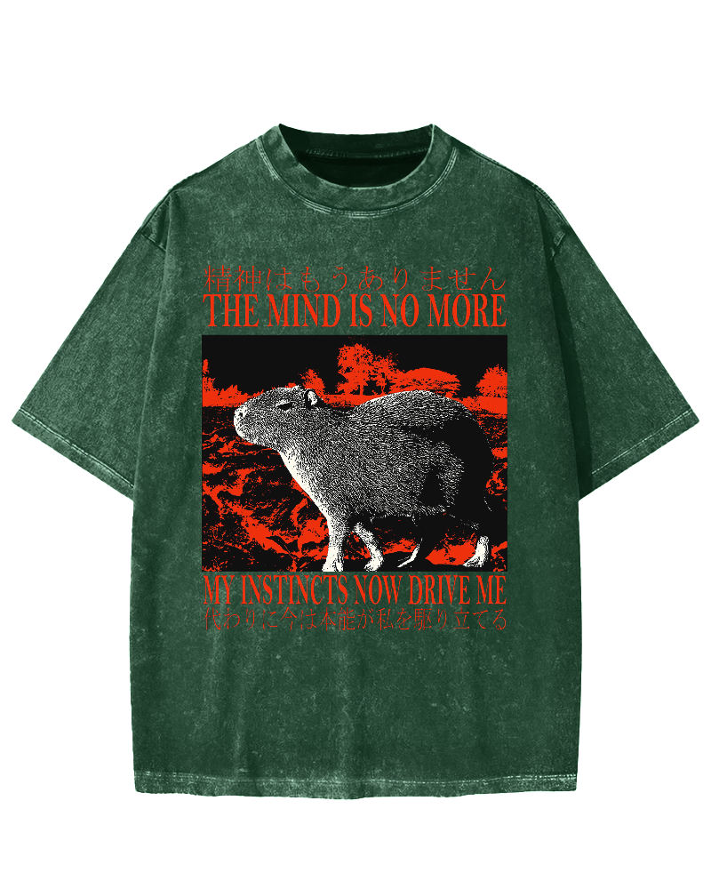 Intuition Capybara Vintage Washed T-shirt