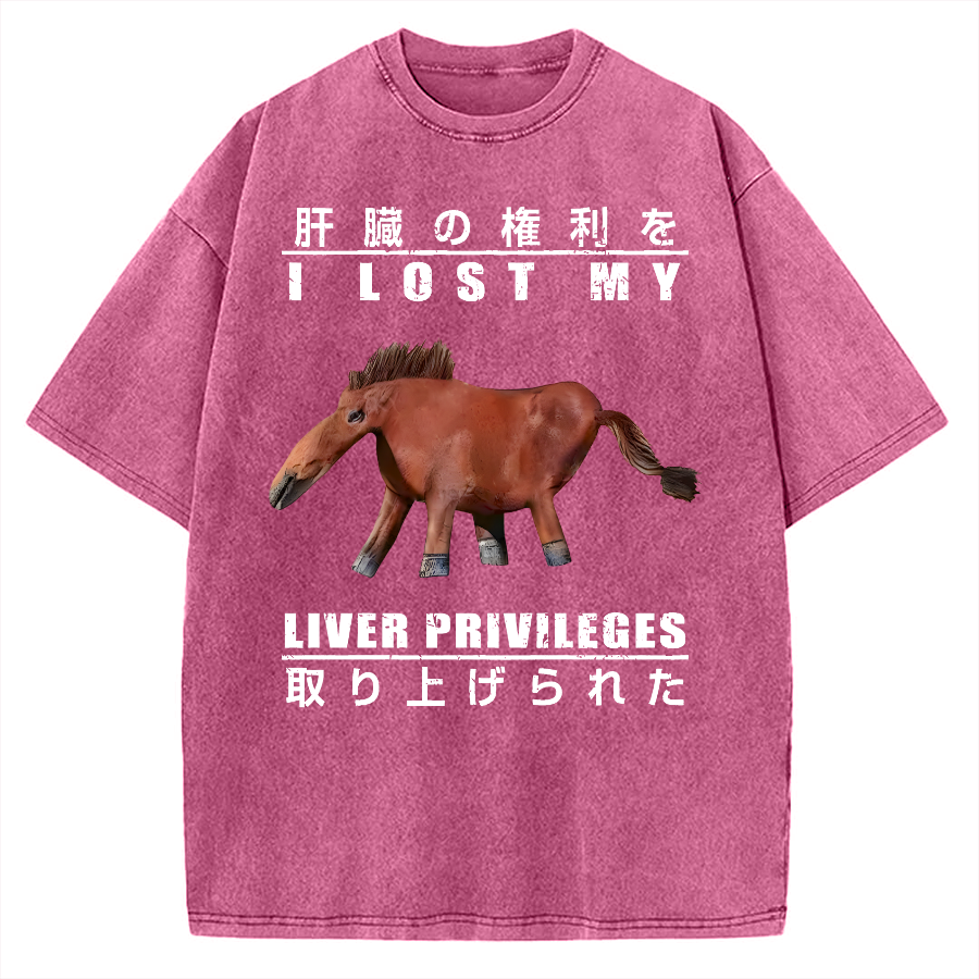 I Lost My Liver Privileges Vintage Washed T-shirt