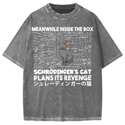Schrödinger's Cat Escape Plan Japanese Style Funny Vintage Washed T-shirt