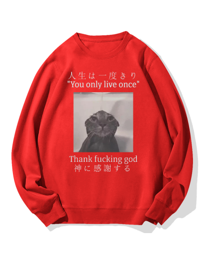 Funny Meme Cat Cotton Sweatshirt
