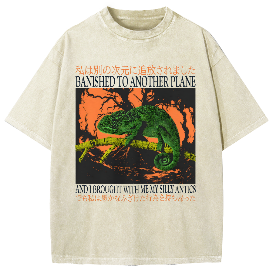 Banished to another plane and I brought with me my silly antics Vintage Washed T-shirt