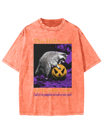 This Year's Halloween Will be a Vulgar Raccoon Vintage Distressed T-shirt-Zazasy