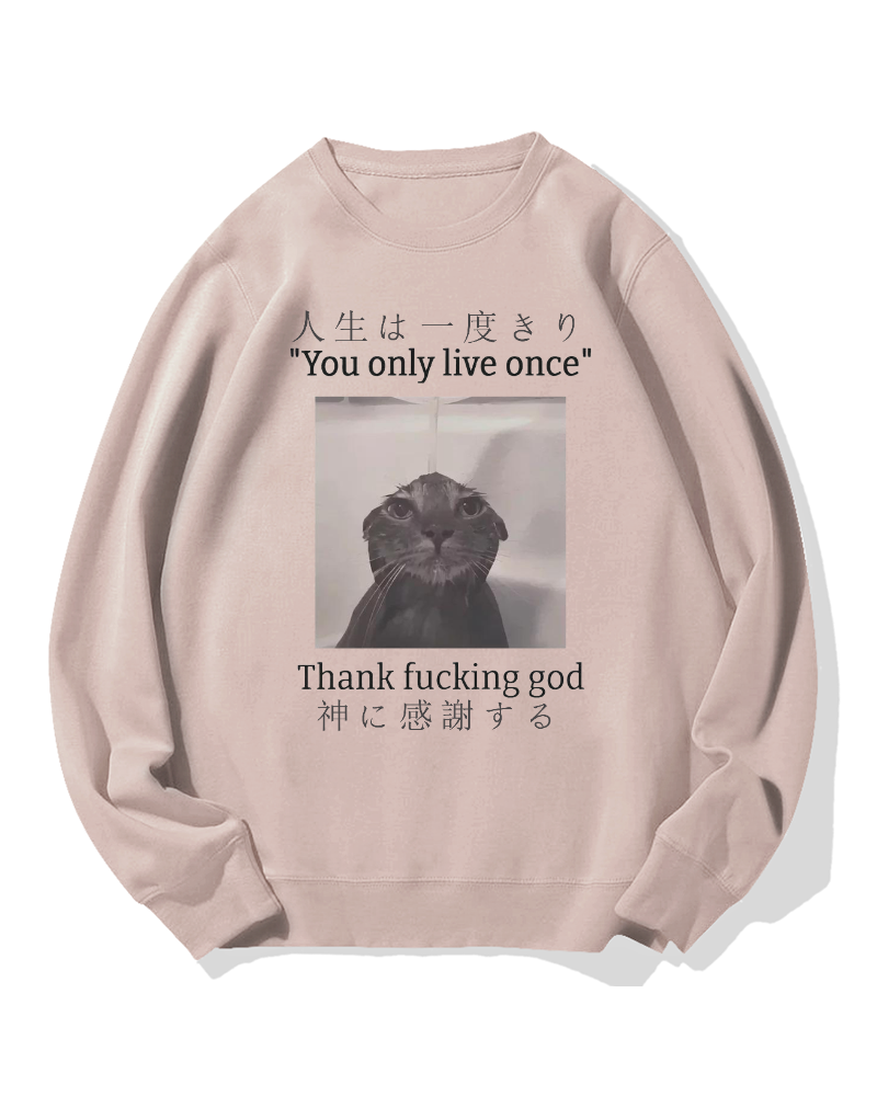 Funny Meme Cat Cotton Sweatshirt