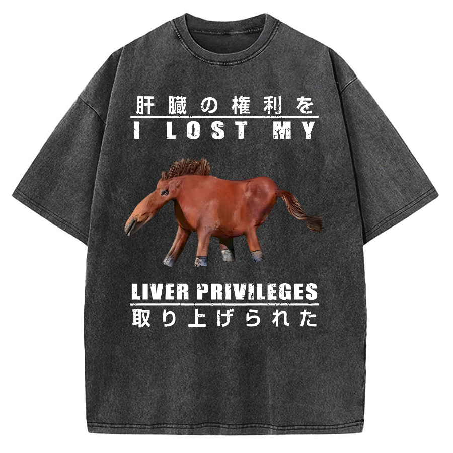 I Lost My Liver Privileges Vintage Washed T-shirt