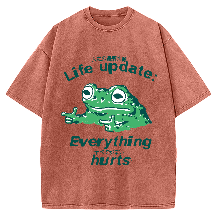 Life Update Harts Frog Vintage Washed T-shirt