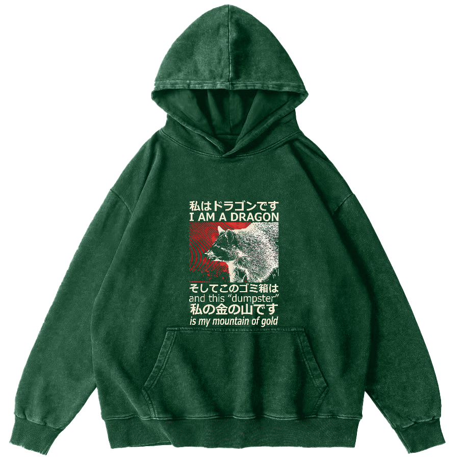 Raccoon Japanese washed hoodie-Zazasy
