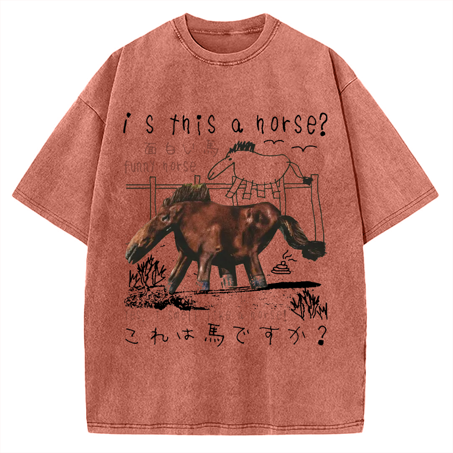 Funny House Meme Vintage Washed T-shirt