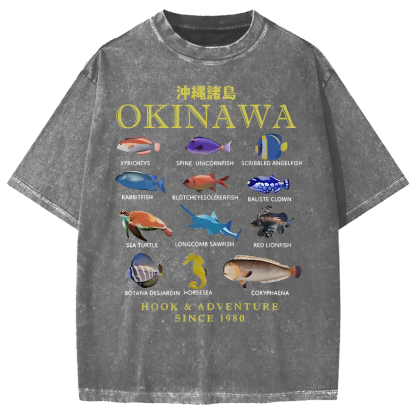 Okinawa Islands Fish Vintage Washed T-shirt