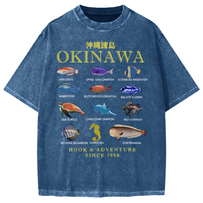 Okinawa Islands Fish Vintage Washed T-shirt