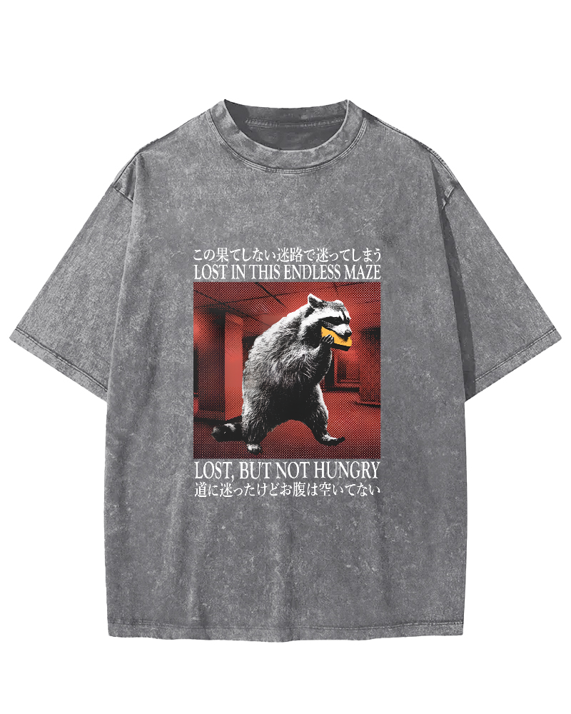 Retro Raccoon Pattern Japanese Style Vintage Distressed T-shirt-Zazasy