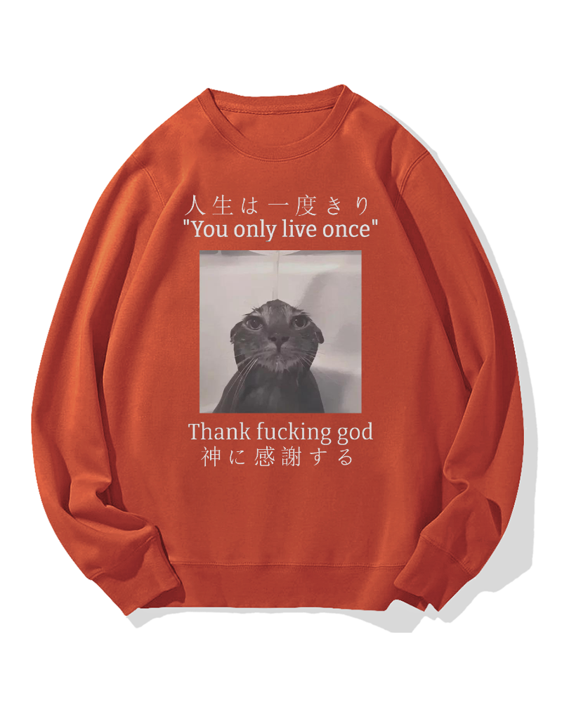 Funny Meme Cat Cotton Sweatshirt