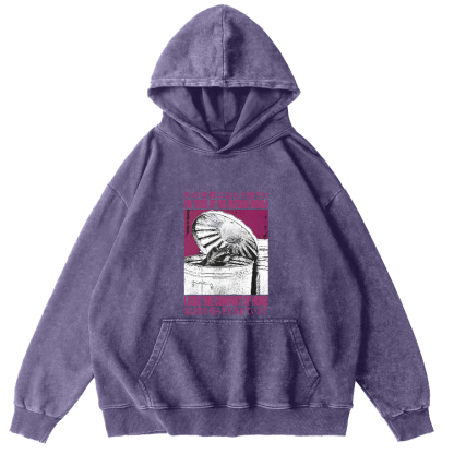 Retro Raccoon Pattern Japanese Style Vintage Distressed Hoodie-Zazasy