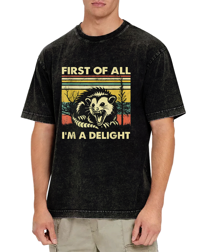 First Of All I'm A Delight Vintage Distressed T-shirt-Zazasy