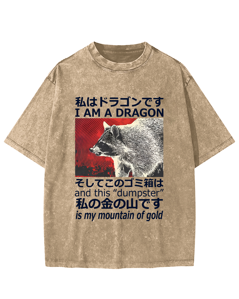 Dragon Raccoon Japanese Vintage Washed T-shirt-Zazasy