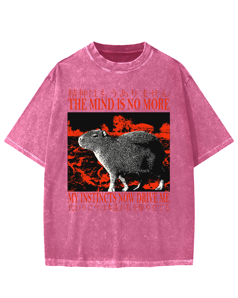 Intuition Capybara Vintage Washed T-shirt