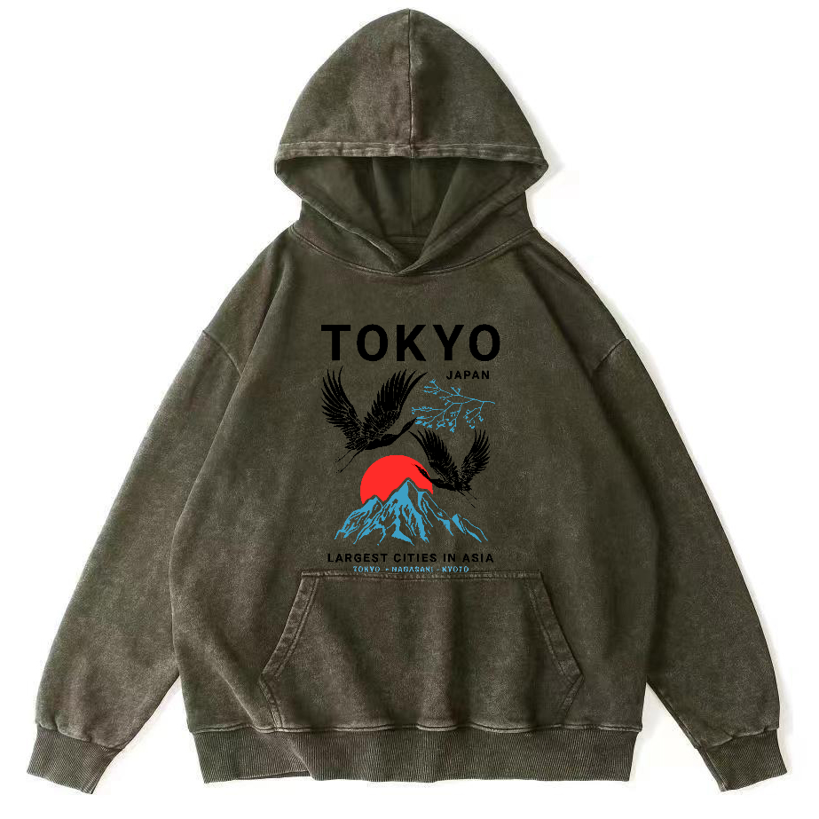 Tokyo Flying Crane Vintage Distressed Hoodie-Zazasy