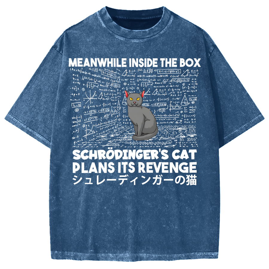 Schrödinger's Cat Escape Plan Japanese Style Funny Vintage Washed T-shirt