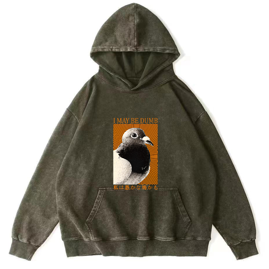 I May Be Dumb Pigeon Washed Hoodie-Zazasy
