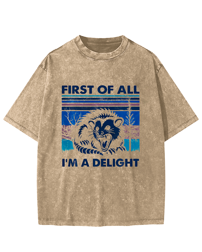 First Of All I'm A Delight Vintage Distressed T-shirt-Zazasy