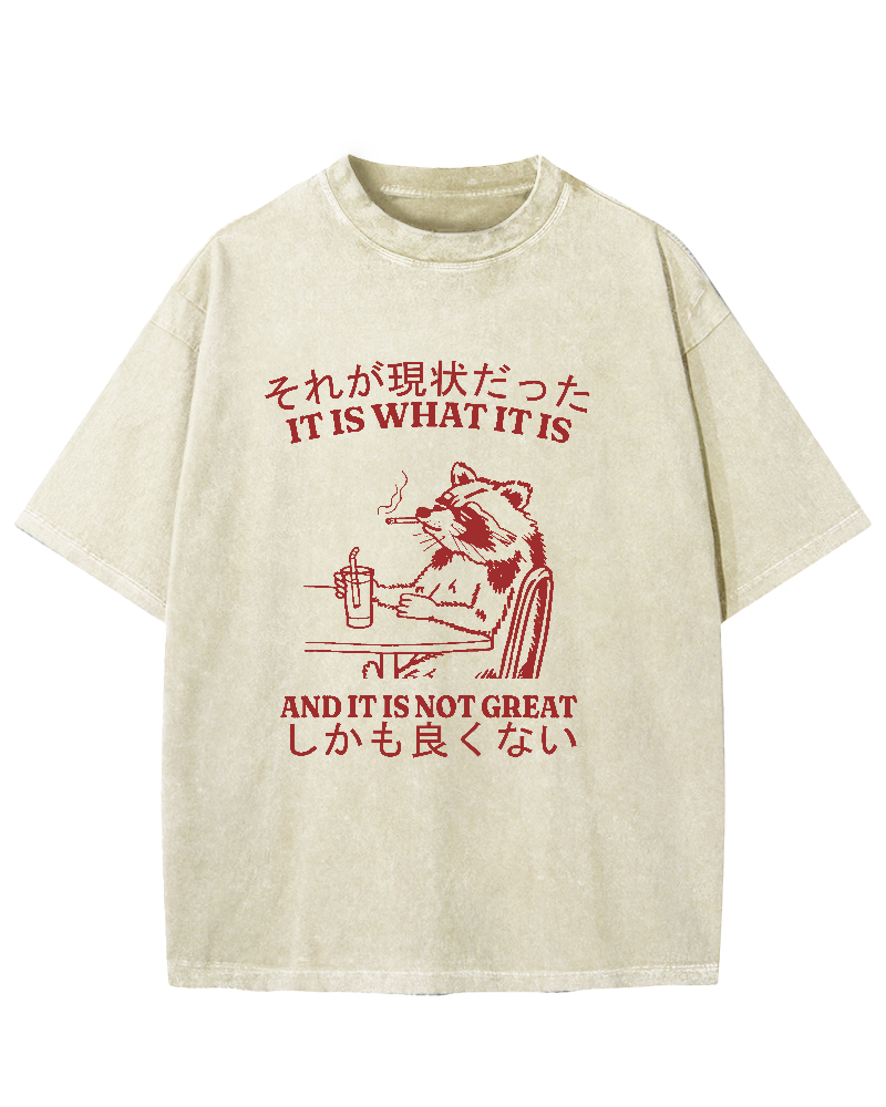 It is what it is,and it is not great Vintage Washed T-shirt