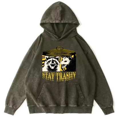 Raccoons and Mice Vintage Distressed Hoodie-Zazasy