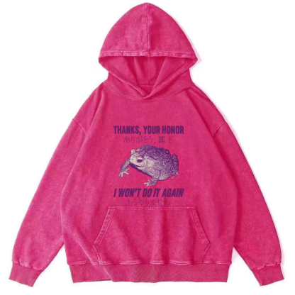 Retro Frog Pattern Japanese Style Vintage Distressed Hoodie-Zazasy