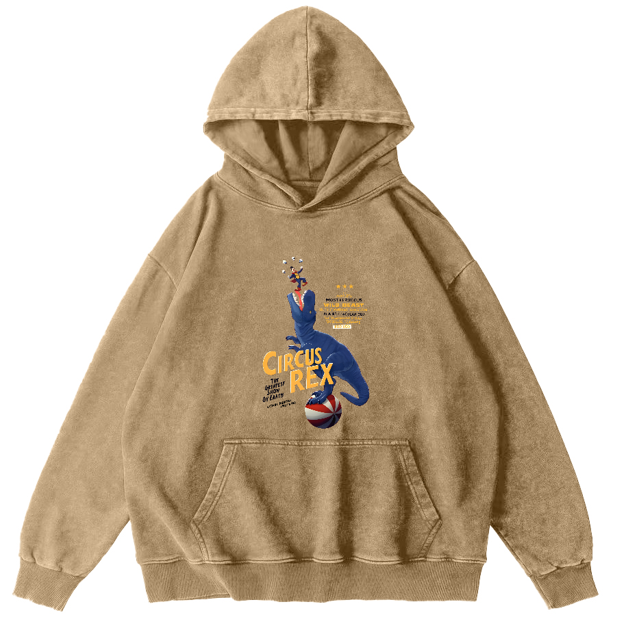 Cartoon Dinosaur Japanese Washed Hoodie-Zazasy