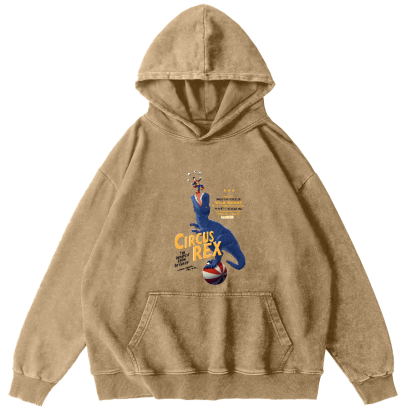 Cartoon Dinosaur Japanese Washed Hoodie-Zazasy
