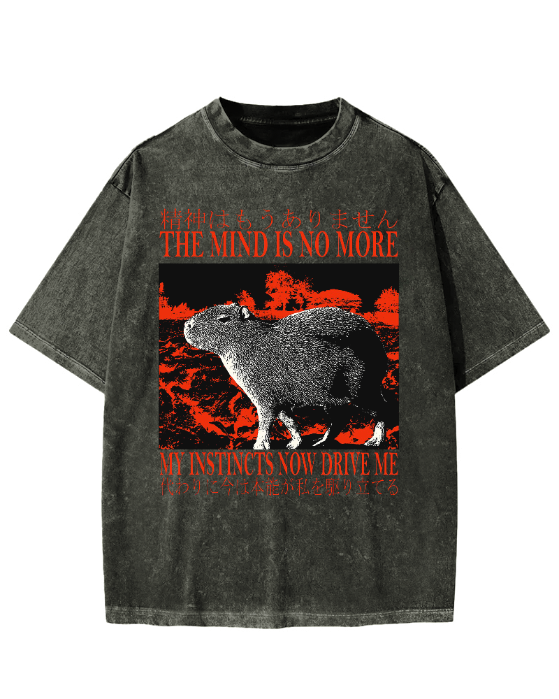Intuition Capybara Vintage Washed T-shirt