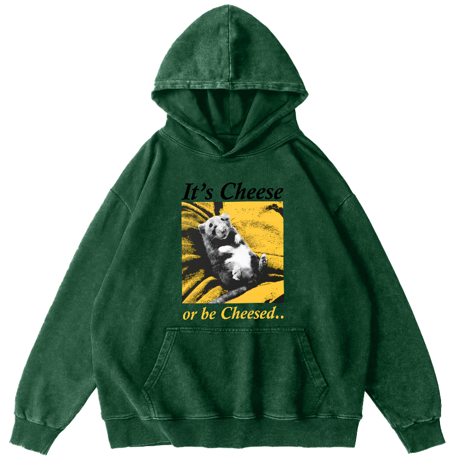 The Sleeping Little Bear Vintage Distressed Hoodie-Zazasy
