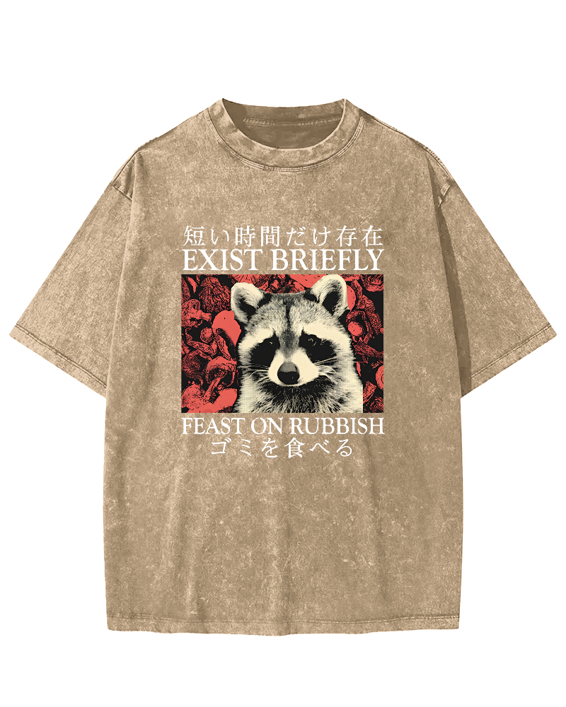 Cute Raccoon Japanese Text Vintage Distressed T-shirt-Zazasy