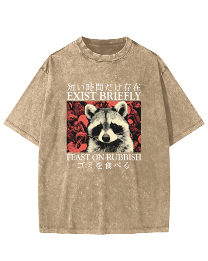 Cute Raccoon Japanese Text Vintage Distressed T-shirt-Zazasy