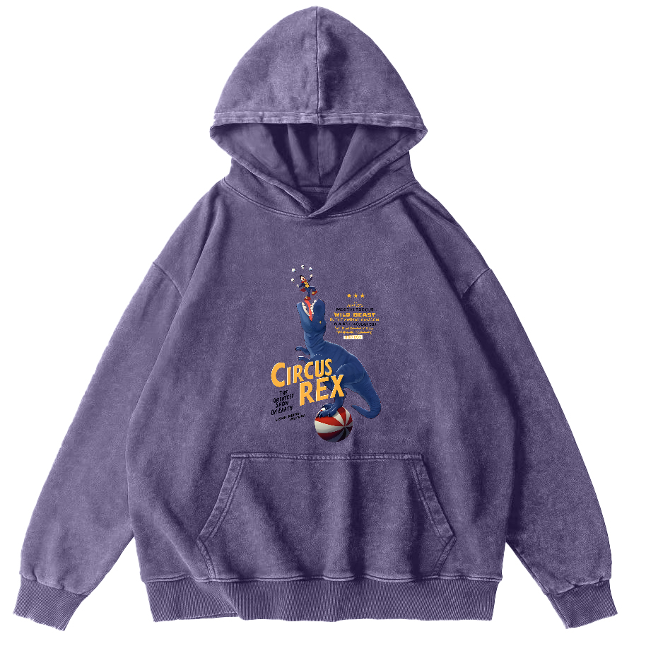 Cartoon Dinosaur Japanese Washed Hoodie-Zazasy