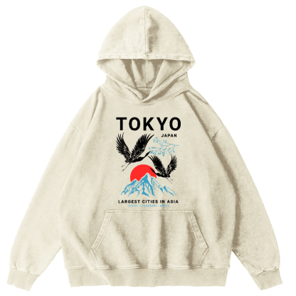 Tokyo Flying Crane Vintage Distressed Hoodie-Zazasy