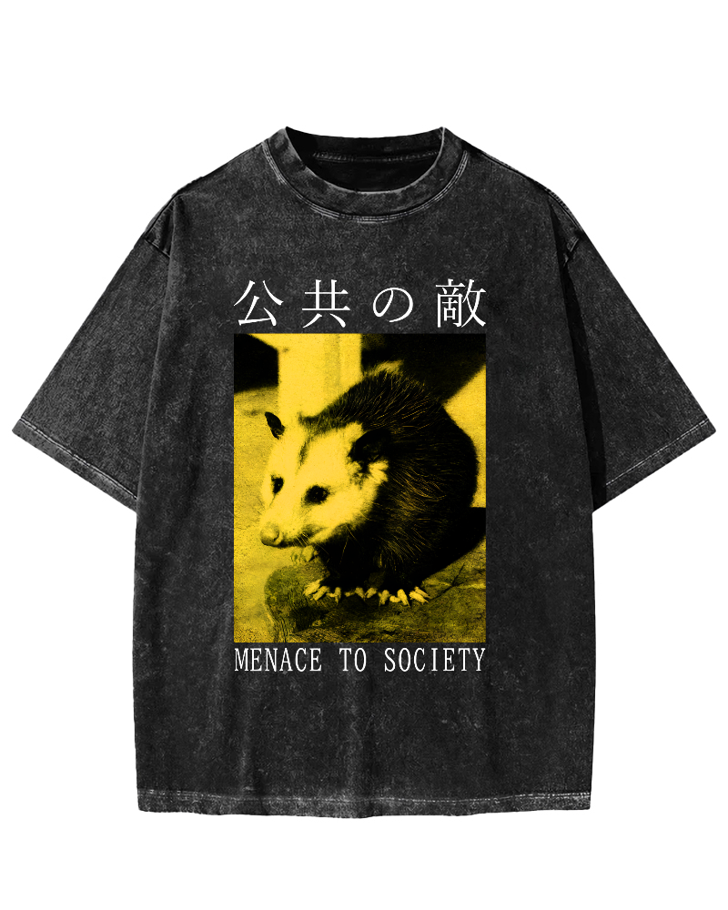 The Opossum in Public Areas Vintage Distressed T-shirt-Zazasy