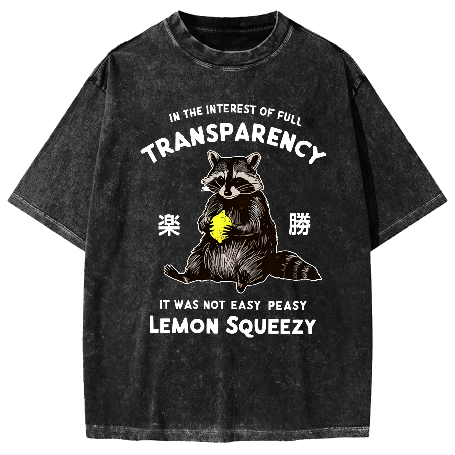 Raccoon Holding A Lemon Vintage Washed T-shirt