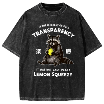 Raccoon Holding A Lemon Vintage Washed T-shirt
