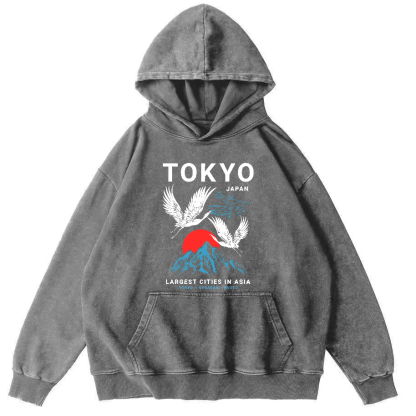 Tokyo Flying Crane Vintage Distressed Hoodie-Zazasy