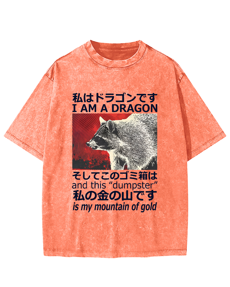 Dragon Raccoon Japanese Vintage Washed T-shirt-Zazasy