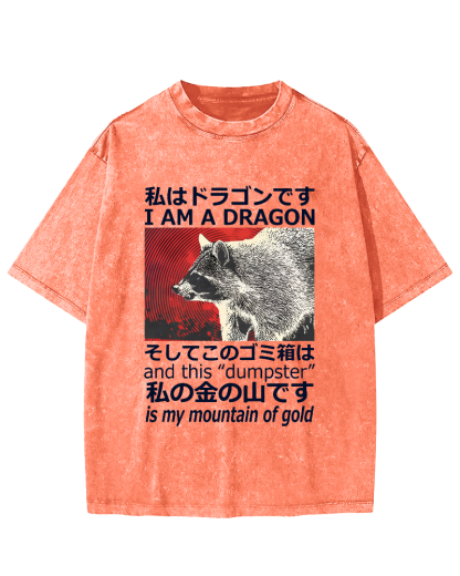 Dragon Raccoon Japanese Vintage Washed T-shirt-Zazasy