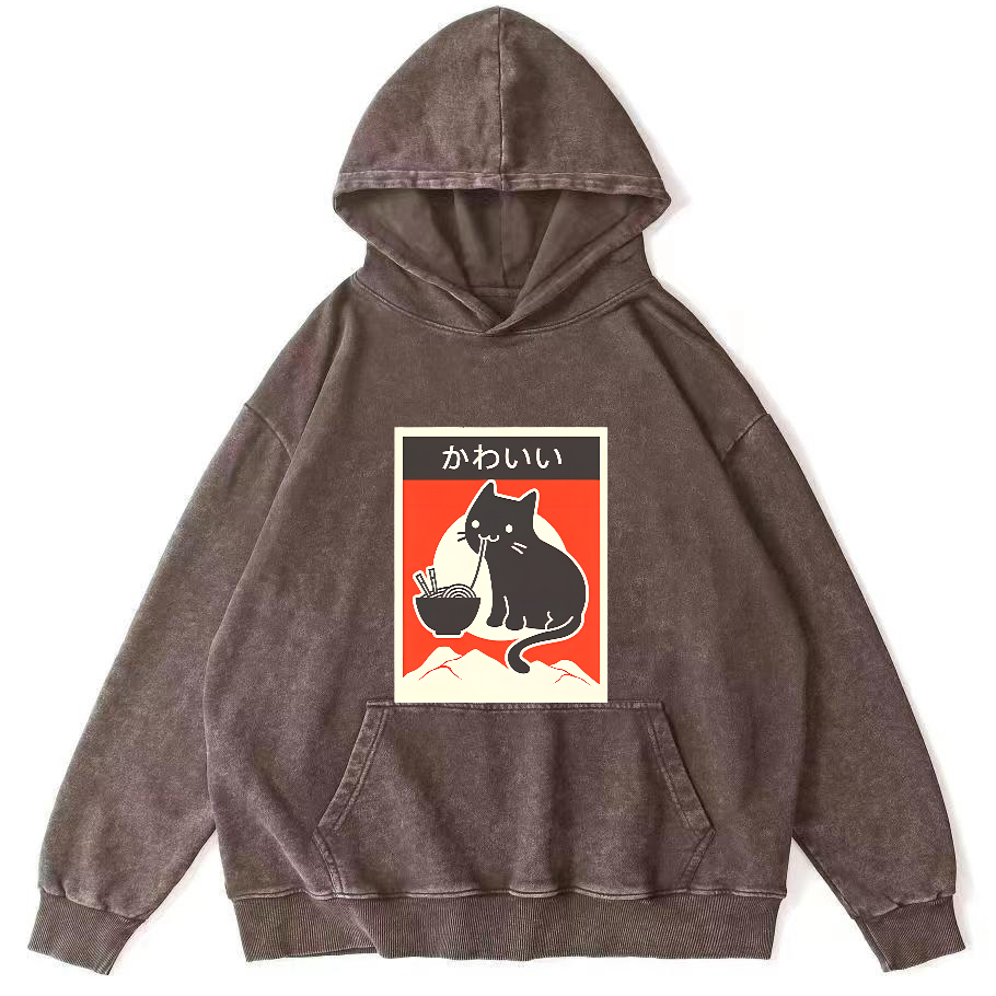 Noodle Loving Cat Patterned Washed Hoodie-Zazasy