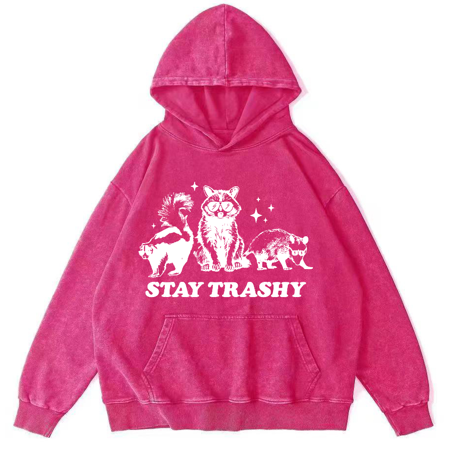 Stay Trashy Vintage Washed Hoodie-Zazasy