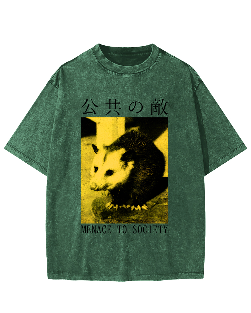 The Opossum in Public Areas Vintage Distressed T-shirt-Zazasy