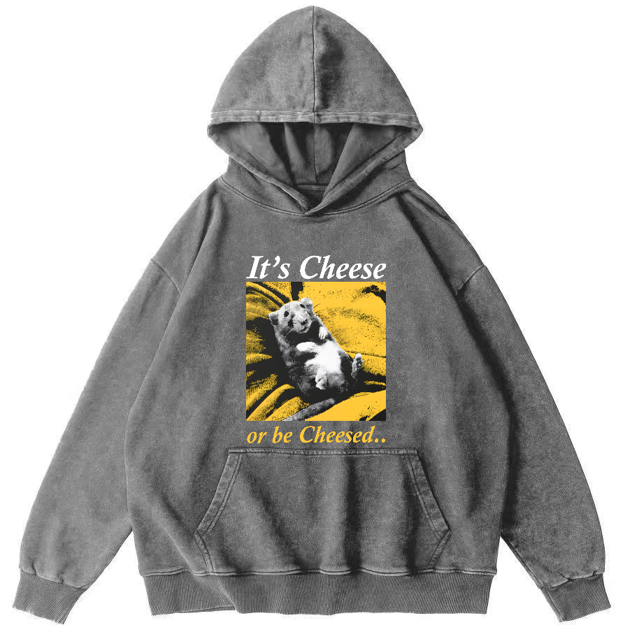 The Sleeping Little Bear Vintage Distressed Hoodie-Zazasy