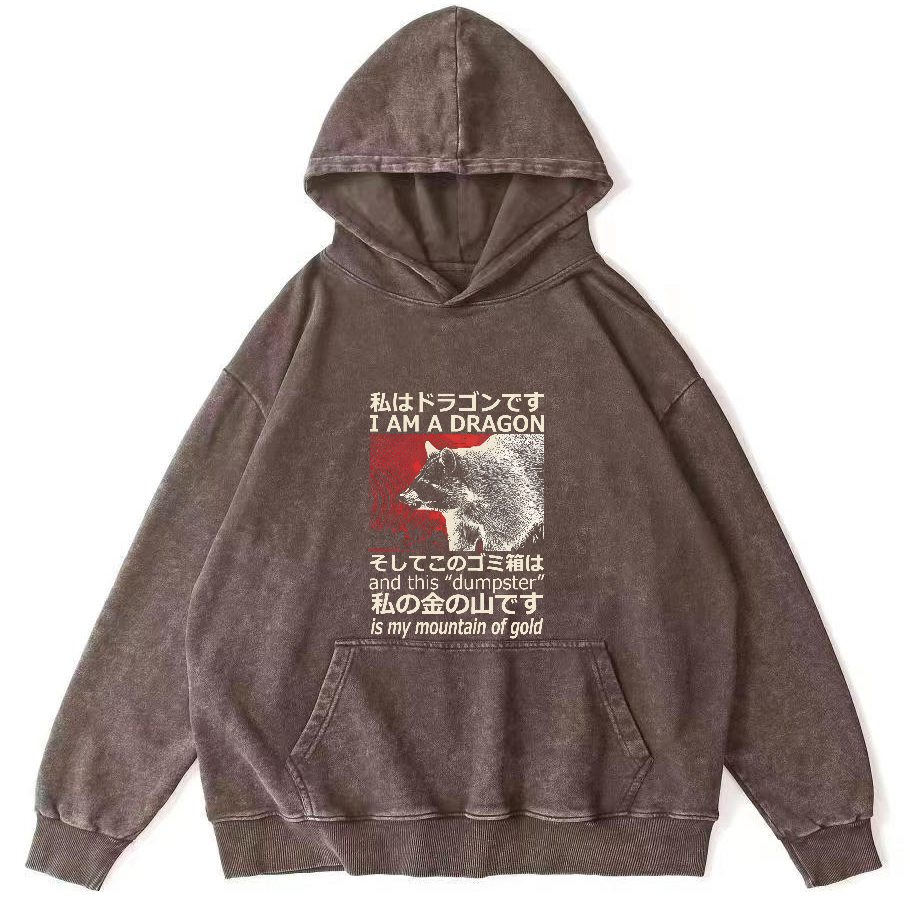 Raccoon Japanese washed hoodie-Zazasy