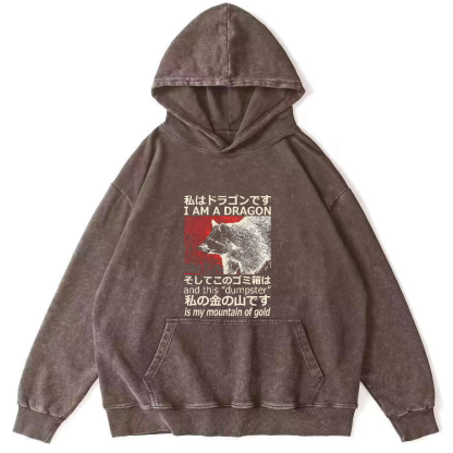 Raccoon Japanese washed hoodie-Zazasy