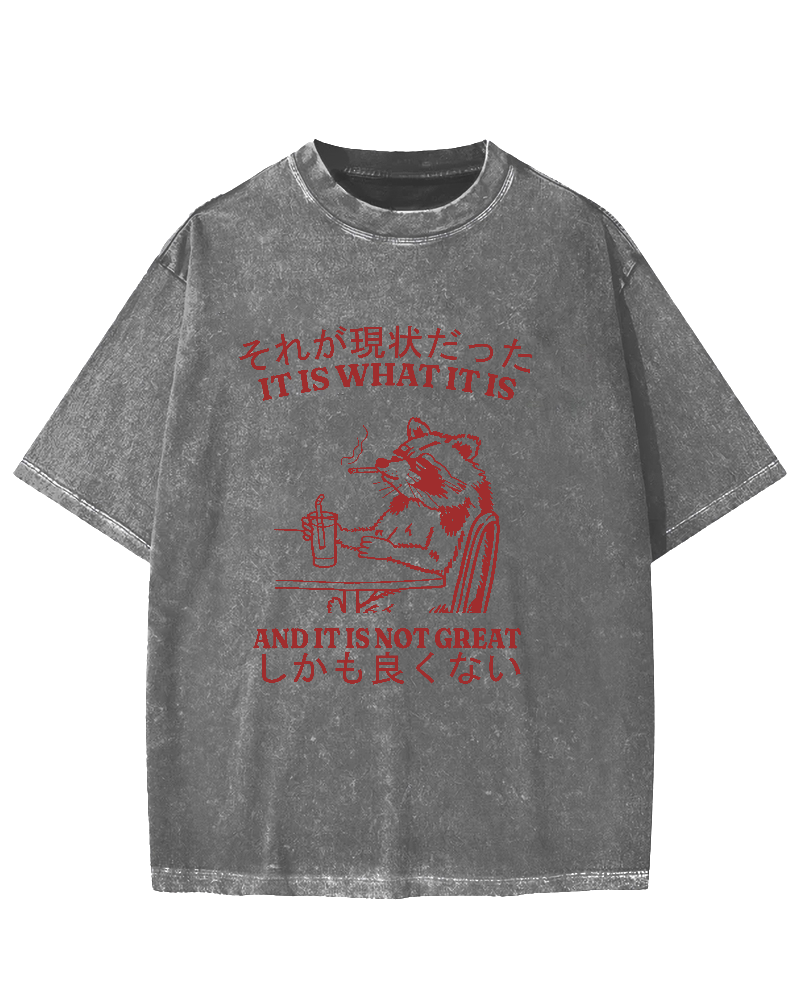 It is what it is,and it is not great Vintage Washed T-shirt