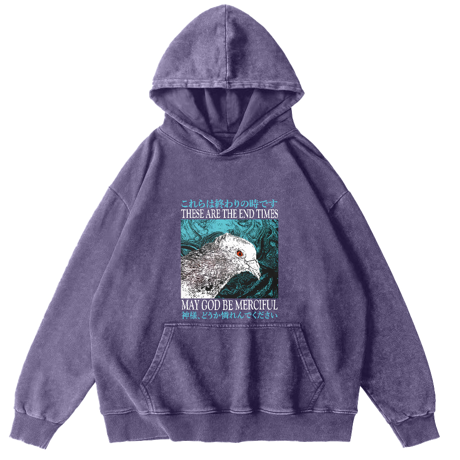 Retro Pigeon Vintage Distressed Hoodie-Zazasy