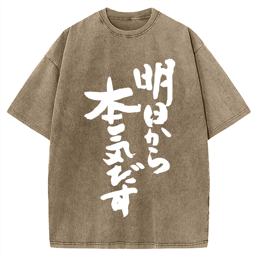 I'll get serious from tomorrow Japanese Vintage Washed T-shirt